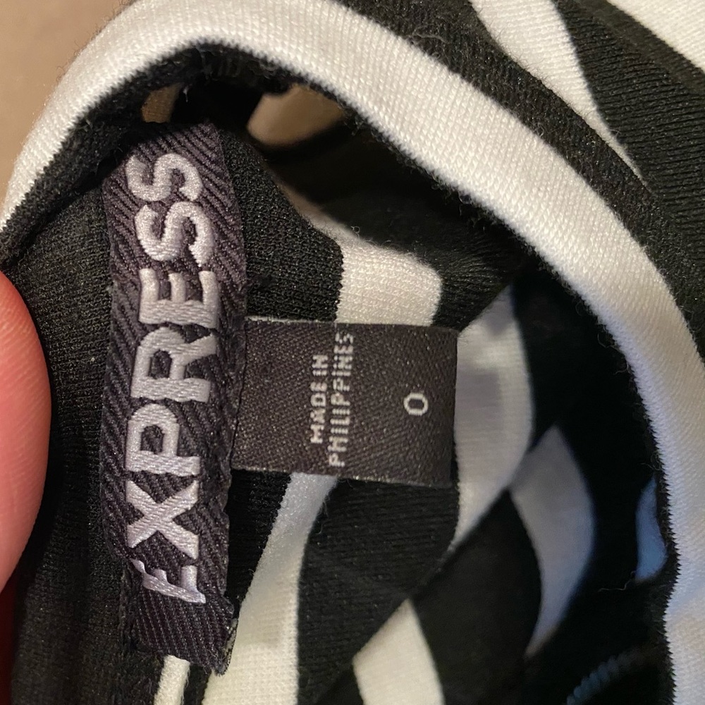 Express Dress - Picture 3 of 3